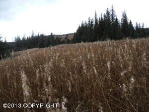 L1 Hughes Court, Homer, AK 99603