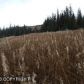 L1 Hughes Court, Homer, AK 99603 ID:6887212