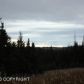 L1 Hughes Court, Homer, AK 99603 ID:6887213