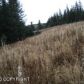 L1 Hughes Court, Homer, AK 99603 ID:6887214