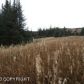 L1 Hughes Court, Homer, AK 99603 ID:6887216