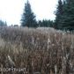 L1 Hughes Court, Homer, AK 99603 ID:6887218