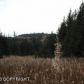 L1 Hughes Court, Homer, AK 99603 ID:6887220