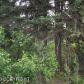 920 Jeffery Avenue, Homer, AK 99603 ID:6886709