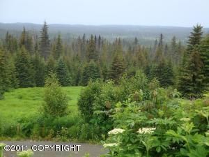 L4 Endless View Loop, Homer, AK 99603