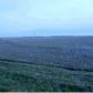 1113.6 Acres Hwy 18, Cash, AR 72421 ID:1171595