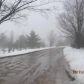 10113 Kiel Road, Mancelona, MI 49659 ID:153227