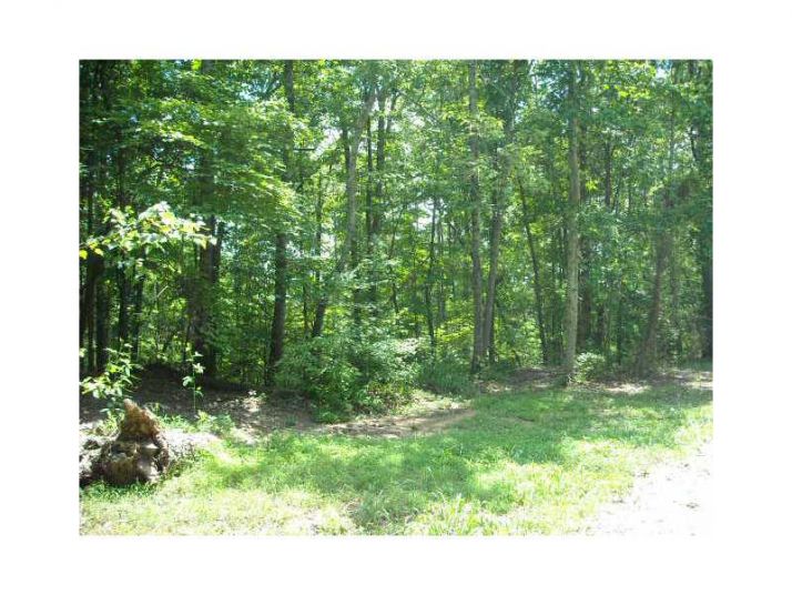 142 Irene Way, Shannon, GA 30172