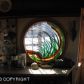 64391 Mac Donald Spit, Homer, AK 99603 ID:6891955