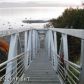 809 Sterling Highway, Homer, AK 99603 ID:6891941
