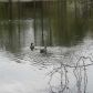 3171 Casteel Road, Marietta, GA 30062 ID:7283684