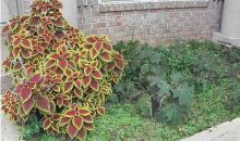 1441 ROLLING OAKS DR Molino, FL 32577