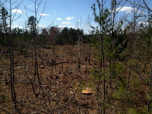 0 Camp Branch Off Road, Ellijay, GA 30540