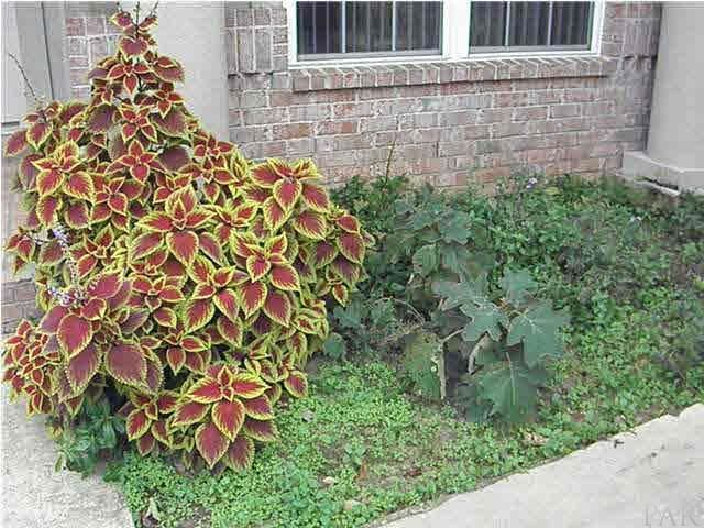 1441 ROLLING OAKS DR, Molino, FL 32577