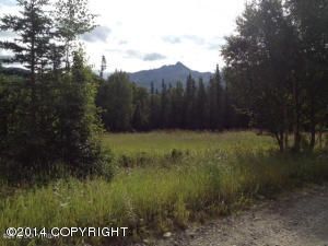 7055 N Mckenzie, Palmer, AK 99645