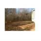 557 Traynham Road, Commerce, GA 30529 ID:7673867