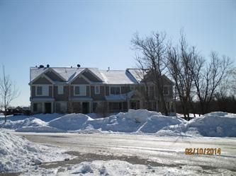 39196 Welsh Lane, Wadsworth, IL 60083