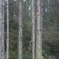 Lot 9 Block H Tallah, Tallahassee, FL 32311 ID:7666008