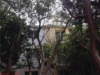 97501  Overseas Hwy Dolphin #136, Key Largo, FL 33037