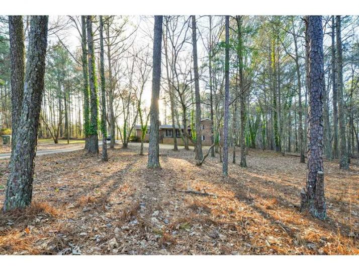 225 Bruce Road, Douglasville, GA 30134