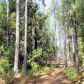 TBD SW County Rd 341, Trenton, FL 32693 ID:7718411