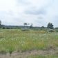 14471 Jeddo Rd, Yale, MI 48097 ID:699905