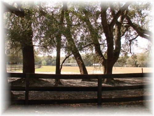 18370 NW 20 Avenue, Swiftwater, PA 18370