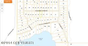21314 W Blarney Stone Drive, Big Lake, AK 99652