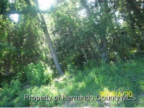 0 Stevens, Hudson, FL 34667
