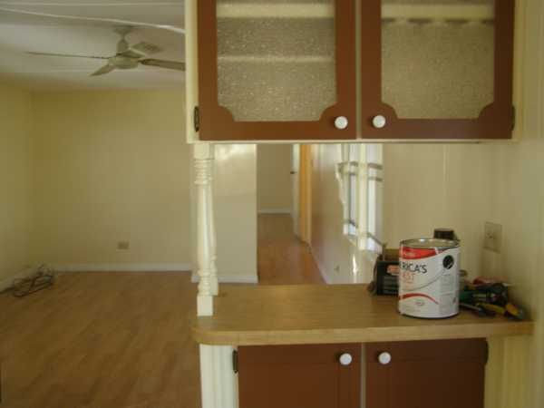 13123 Lemon St, Grand Island, FL 32735