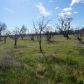 25375 County Road 21a, Esparto, CA 95627 ID:85710