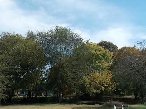 118 Duncan Drive Sw, Cartersville, GA 30120