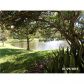 10155 W Sunrise Blvd # 102, Fort Lauderdale, FL 33322 ID:7335769