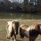 22513 East Cherokee Drive, Woodstock, GA 30188 ID:6947032