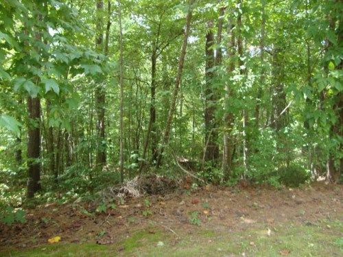 0 Seven Bark Dr, Cullman, AL 35055