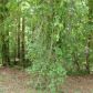 0 Seven Bark Dr, Cullman, AL 35055 ID:7261746