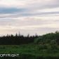 39793 Cannon Street, Homer, AK 99603 ID:7762288