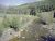 Tbd County Road 265 Somerset, CO 81434