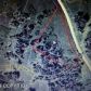 100 Cozy Cove Drive, Homer, AK 99603 ID:6887857