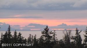 L13 Endless View Loop, Homer, AK 99603