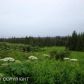 L13 Endless View Loop, Homer, AK 99603 ID:6887733