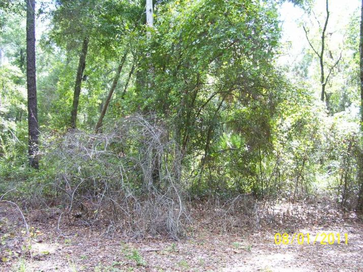 Hwy 42, Altoona, FL 32702