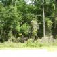 Hwy 42, Altoona, FL 32702 ID:4190081
