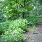 617 Panorama Pt, Jasper, GA 30143 ID:2540501