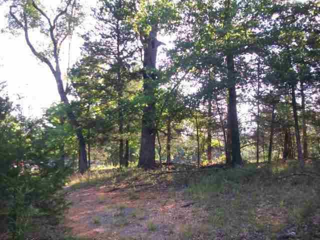 1062 Fout Rd, Gamaliel, AR 72537