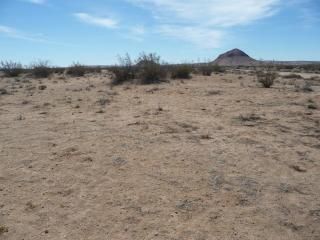 0 Evergreen Ave., California City, CA 93505