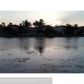 824 Stanton Dr, Fort Lauderdale, FL 33326 ID:436837