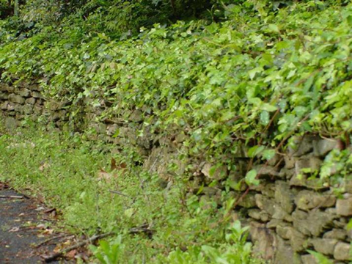 5211 Long Island Drive Nw, Atlanta, GA 30327