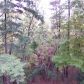 5 Grassy Knob Court, Jasper, GA 30143 ID:3432346