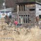 254 Charles Way, Homer, AK 99603 ID:7113776